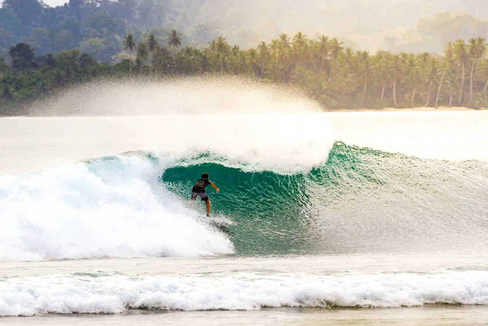 surf indonesie janvier